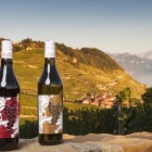 Badoux Vins – All Wine Stories