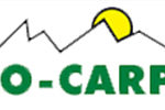 eco-carpet
